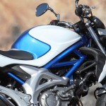 Suzuki Gladius 650