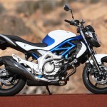 Suzuki Gladius 650