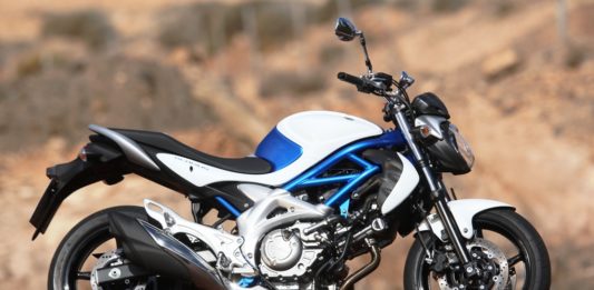 Vorstellung: Suzuki Gladius 650