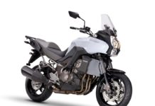 Kawasaki Versys 1000: Geschmackssache