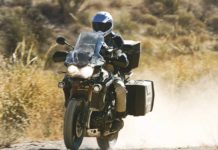 Triumph: Entdecker für die Tiger Explorer gesucht