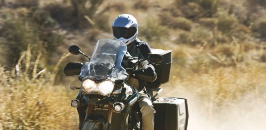 Triumph: Entdecker für die Tiger Explorer gesucht