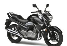 Suzuki bringt 250er auf den Markt