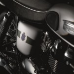 Triumph Bonneville T100 110th Anniversary Special