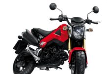 Honda MSX 125: Nachfolger von Dax und Monkey?