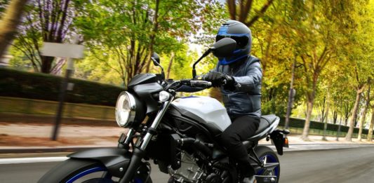 Aus der Gladius wird die SV 650