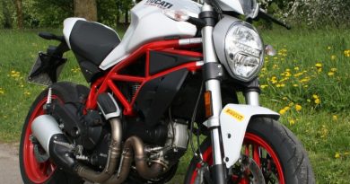 Fahrbericht Ducati Monster 797: Kleine(s) Monster Ducati Monster 797