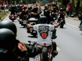 Harley Days Dresden